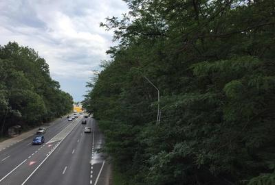 Teren DN1 - Padurea Petresti - 3