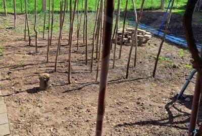 Casa individuala, zona Piata Agroalimentara Ira, pret avantajos - 5