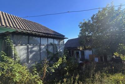 Teren 685 mp + Casa batraneasca, Ștefanesti - Golesti - 6