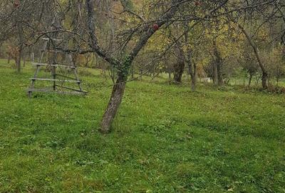 Teren de 3560 mp, în Mușătești - 2
