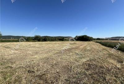 Teren de 3752 mp pozitionat pe colt cu PUZ situat in Cristian - 9