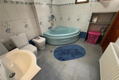 VILA DEOSEBITA IN SLATINA - LUNCANI - OAZA DE LINISTE LA MARGINEA PADURII - 21