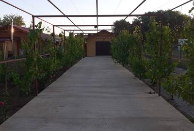 Casă individuală cu 3 camere cu Teren 300 Mp în Horia - 4