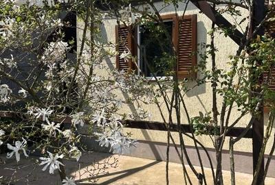 Casă individuală cu 3 camere cu Canalizare în Central - 1