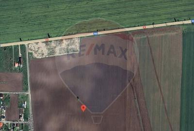 Teren Belciugatele, limita Branesti | DN 3 - 3