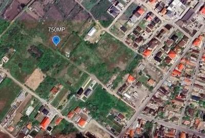 Teren de 750 mp, în Viile Noi