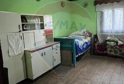 Casă cu 3 camere cu Teren 5472 Mp în Breb - 7