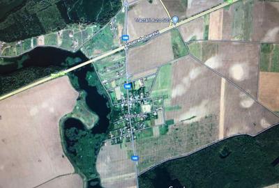 Teren de 5000 mp, în Brănești - 2