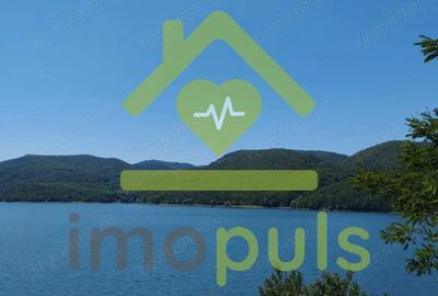 Teren de 20720 mp, în Cinciș-Cerna - 8