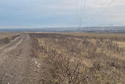 Teren cristur hunedoara parcele 500, 1000, 1500 mp - 1