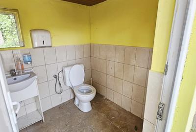 Casă + Afacere + Relaxare = Investiția Perfectă, in Cioranii de Jos - 34