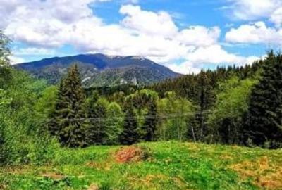 Predeal teren intravilan 4351 mp - 4