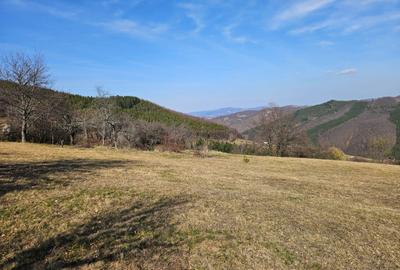 Spațiu comercial, în Damiș - 4