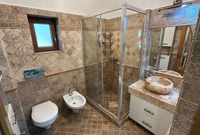 Inchiriez apartament cu 3 dorm , 2 liv, 2 bai, 3 loc parcare -700 lei/noapte - 3