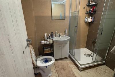 Apartament cu 2 camere decomandat, mobilat în Giurgiului - 11