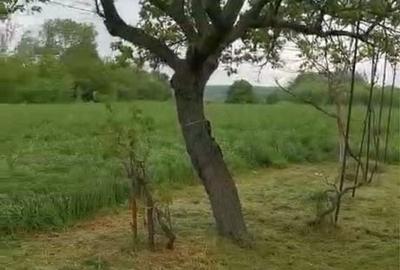 Casă cu 4 camere în Perii Broșteni