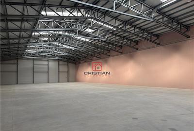 Depozit/hala/spatiu industrial Buftea - Tamasi, Ilfov - 16