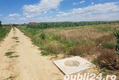 Teren de 5000 mp, în Malu Mare - 6