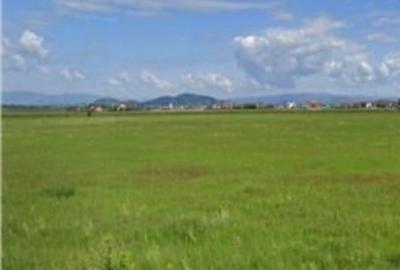 Teren de 1440 mp, în Florești