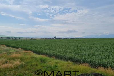 Casă cu 4 camere cu Teren 486 Mp în Șura Mică - 1