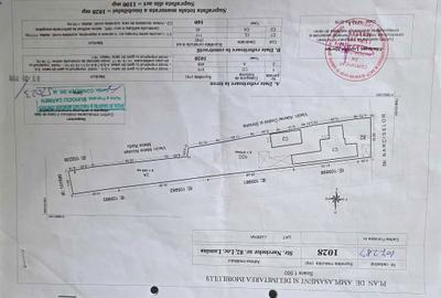 Casă cu 3 camere cu Teren 1100 Mp în Lumina - 2