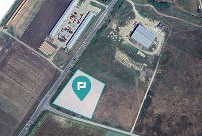 Teren intravilan, 5000 mp in Ciumeghiu, Bihor - 7