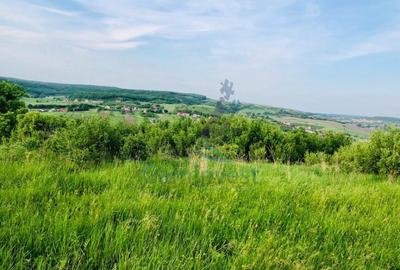 Teren Construcții intravilan de 11388 mp, în Hidișelu de Sus - 2