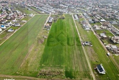 Spațiu comercial, în Berceni - 7