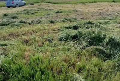 Teren 900 mp Dumbravi?a de vanzare - 1