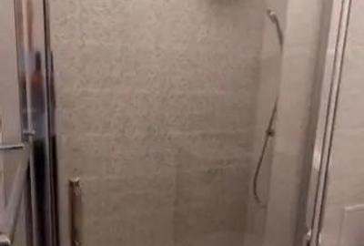 Apartament cu 2 camere decomandat, mobilat în Nufărul - 11