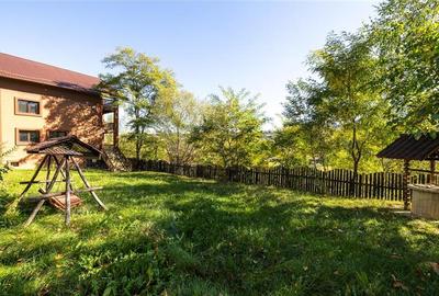 FILM! Proprietate notabila, ocazie personalizare, in transcendentalul Bran, Bras - 12