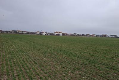 Teren de 1900 mp, în Exterior Vest - 2