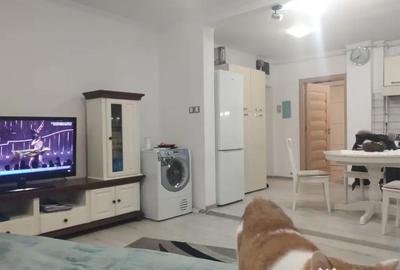 Apartament cu 4 camere semidecomandat în Gojdu - 16