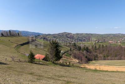 Teren Construcții intravilan de 3791 mp, în Poiana Mărului - 20