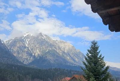 Casă cu Teren 675 Mp în Poiana - 1