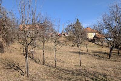 Spațiu comercial, în Păniceni - 4