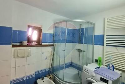 Apartament cu 4 camere de inchiriat  langa spitalul judetean - 8