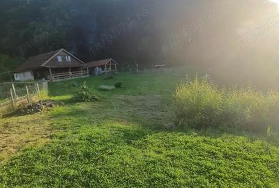 Casă cu Teren 30000 Mp în Central - 3