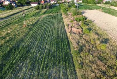 Teren de 6000 mp, în Budești