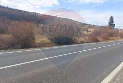 Teren agricol extravilan de 10000 mp, în Brădet - 4