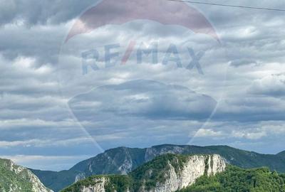 Casă cu 3 camere în Ponor - 8