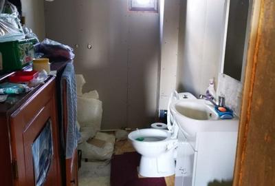 Casa P+E, BASCOV, semifinisata, teren 5044mp - 5
