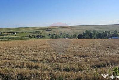 Teren de 7500 mp, în Moara - 11