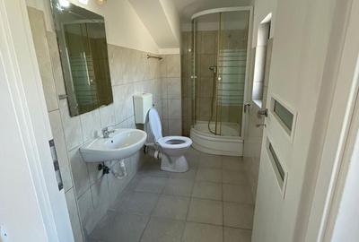 Spațiu industrial, de 590 mp, în Frumușani - 14