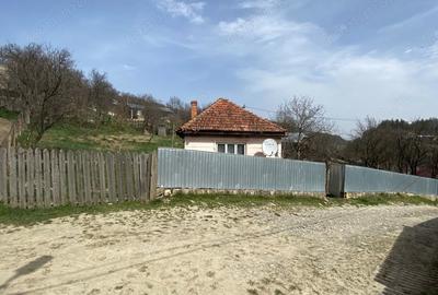 Casă cu 4 camere cu Teren 910 Mp în Nistorești - 3