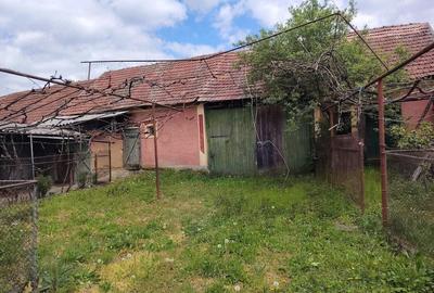 Casă cu 2 camere cu Teren 5000 Mp în Porț - 7