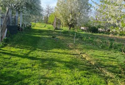 Teren de 1000 mp, în Cipău - 5