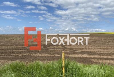 Teren Agricol | Opurtunitate investitie | Sananadrei - ID V713 - 4