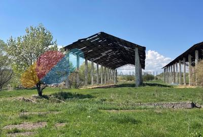 Teren Intravilan 16.000 Mp situat la DN–E81 Zalau-Cluj - 6