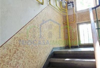 Apartament cu 4 camere în George Enescu - 4